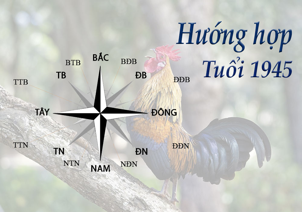 Hướng-hợp-tuổi-1945