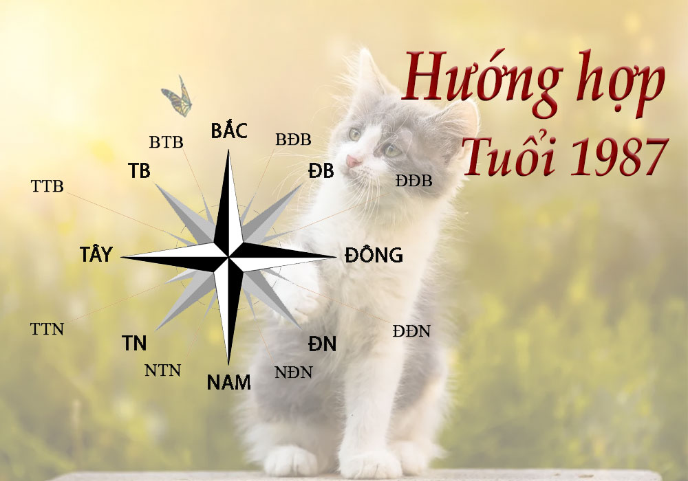 Hướng-hợp-tuổi-1987